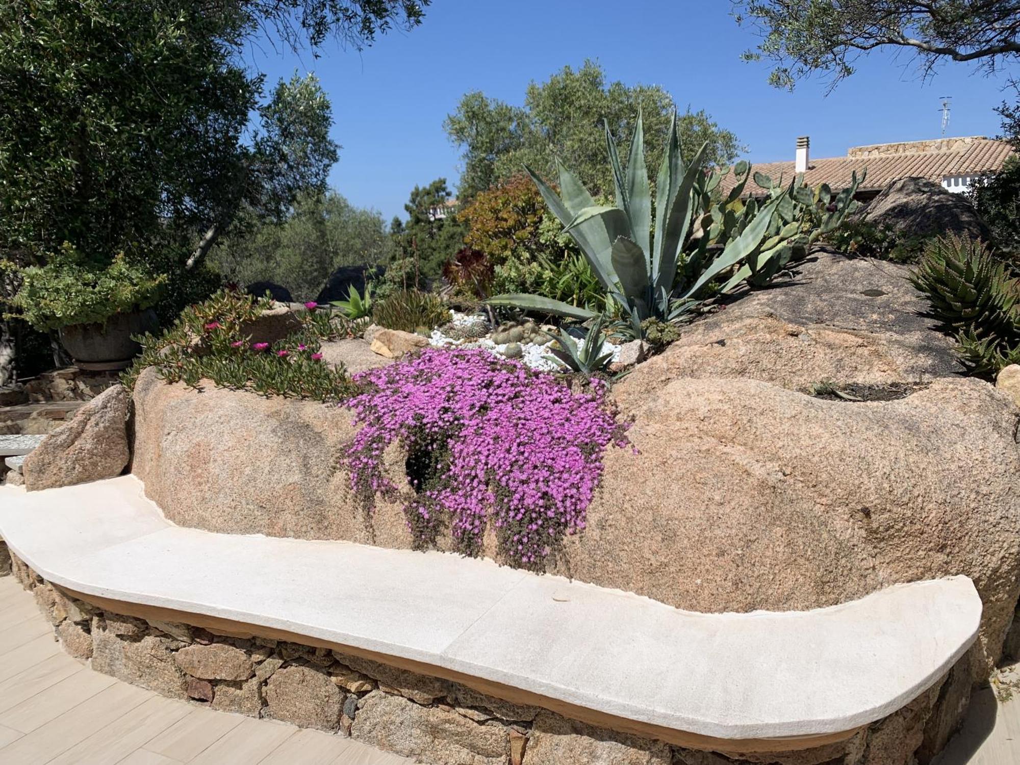 Casa vacanze L'olivastro Porto Cervo