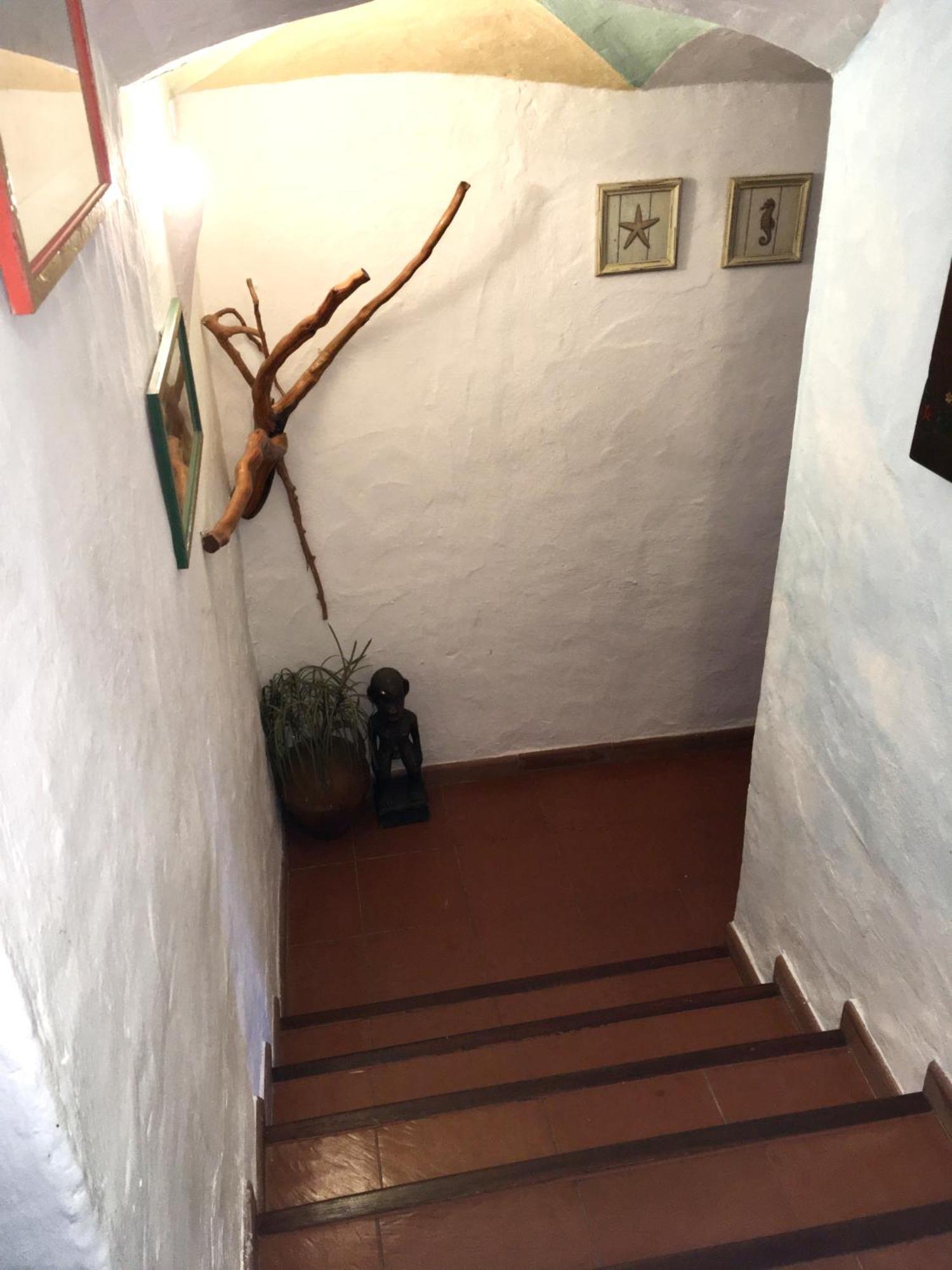 L'olivastro Porto Cervo
