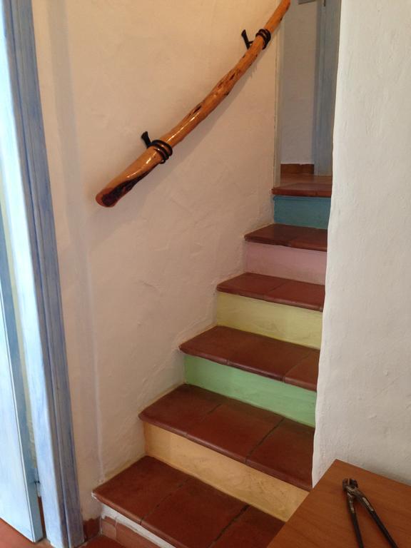 Casa vacanze L'olivastro